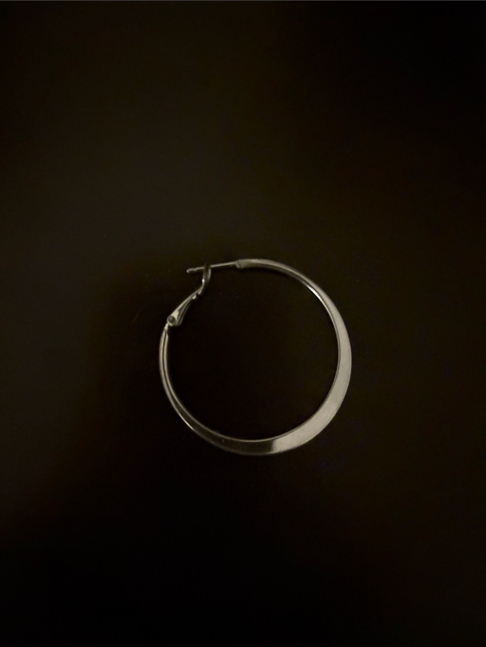ISO Lia Sophia Roundel Silver 1 1/2” Hoop Earring -do not buy!